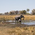Botswana-127-3