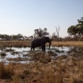 Botswana-63