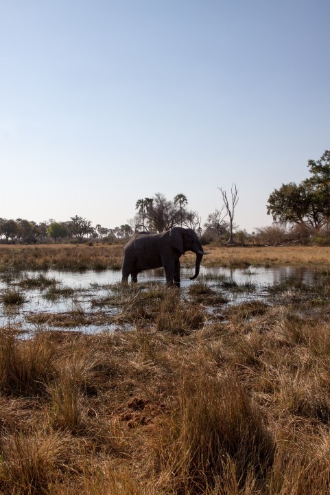 Botswana-63